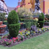  Guanajuato, Mexico 2009